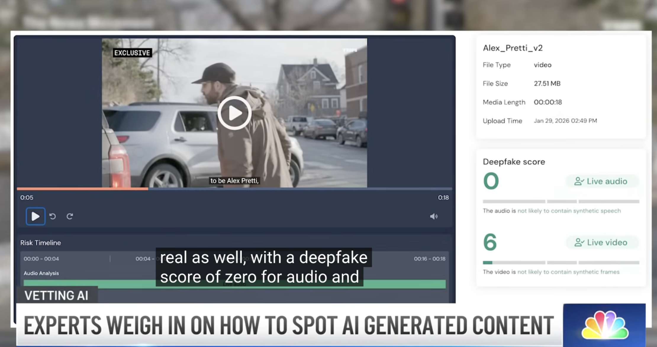 Alex Pretti Video Analysis